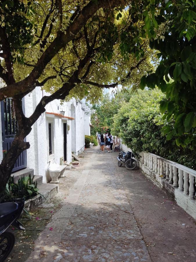 Cabana 52 En La Aldea Doradal Santorini Colombiano Kültér fotó